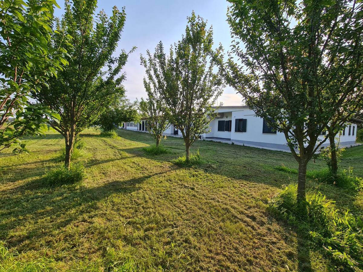 Agriturismo Ca Novak Venezia Spinea Eksteriør billede