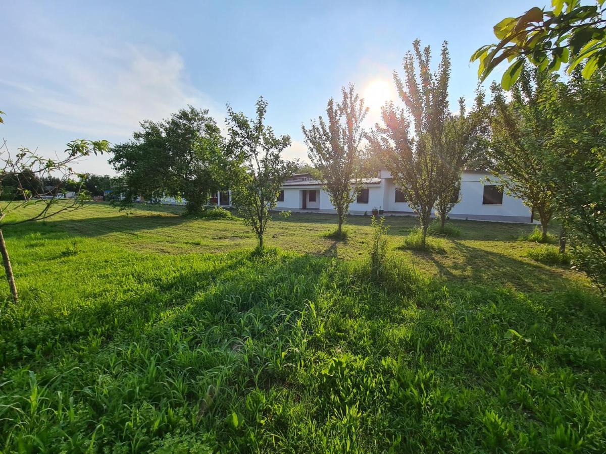 Agriturismo Ca Novak Venezia Spinea Eksteriør billede